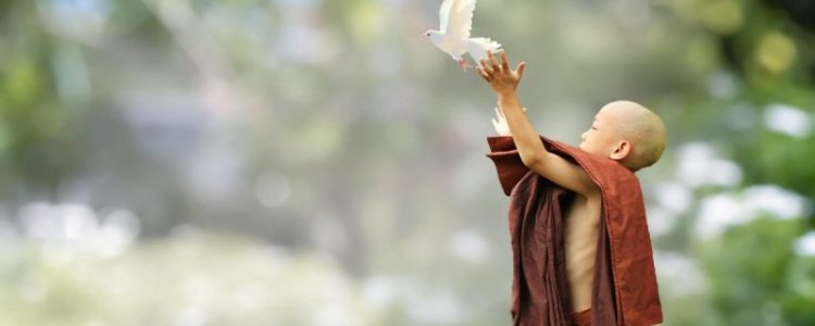 Buddhist Child Releasing a Dove