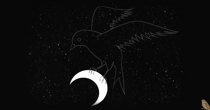 Bird Constellation Perched on the Moon 